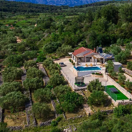 Villa Mario Vela Luka